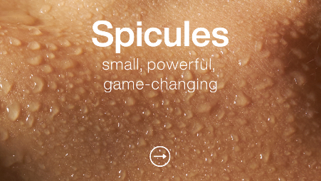 Social Media Content - Spicules